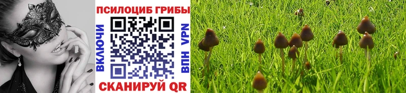 Псилоцибиновые грибы Cubensis  omg как войти  Евпатория 