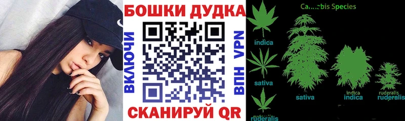 Марихуана семена купить закладку Евпатория